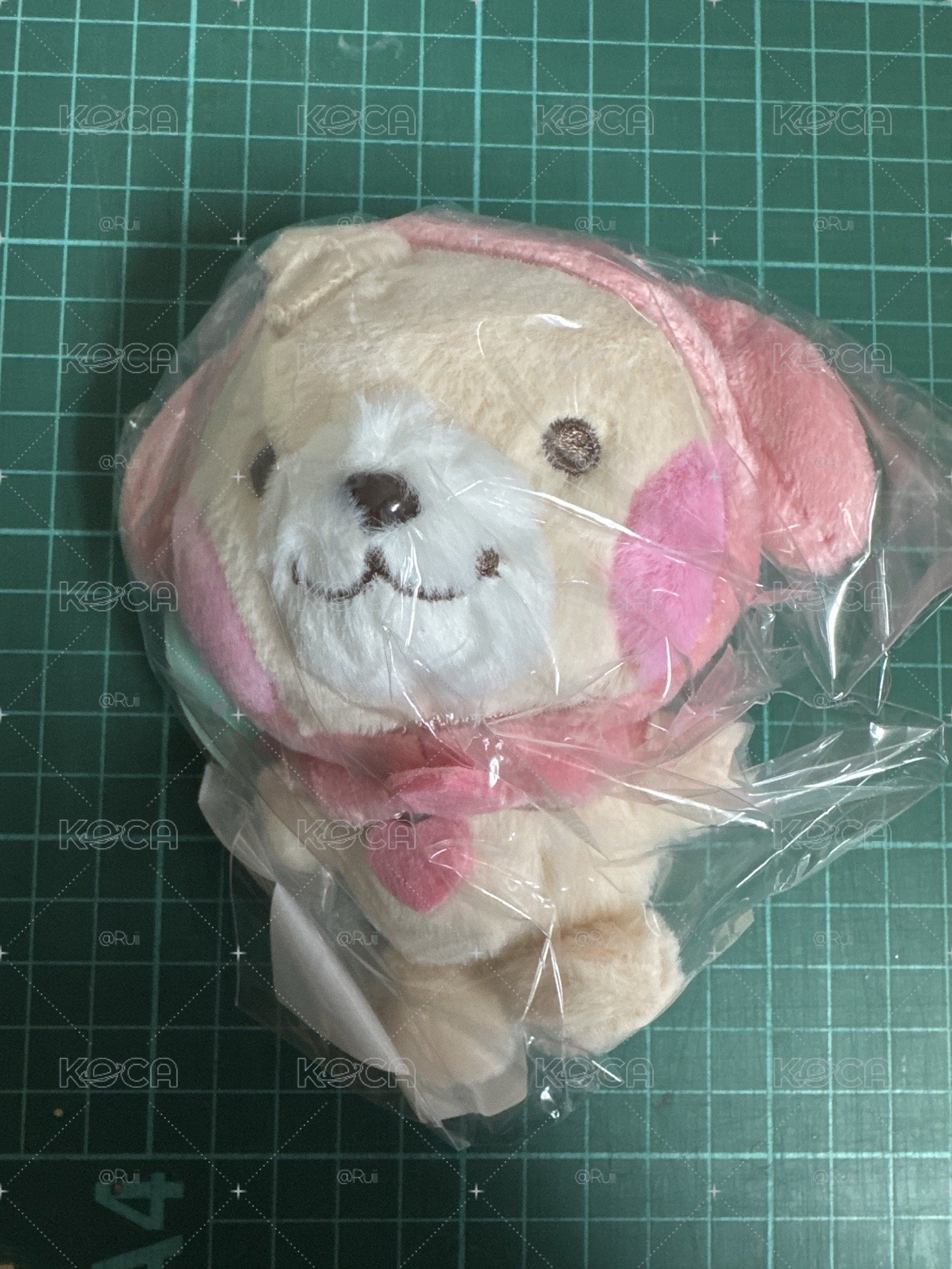 燦烈 烈狗狗 吊飾娃
