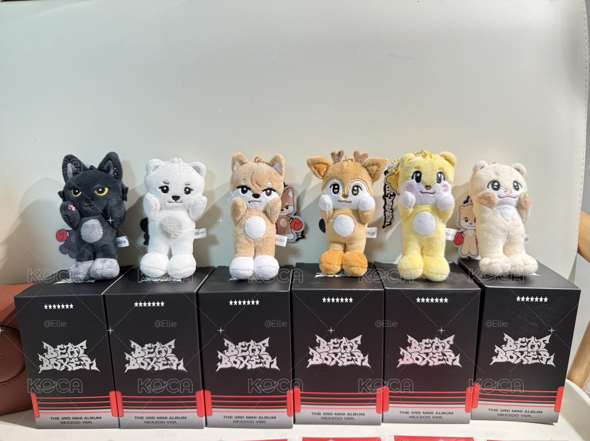 迷三 專輯 NEXZOO ver.全專（🐈‍⬛🐻‍❄️🦌）（僅拆檢未出門未下水）