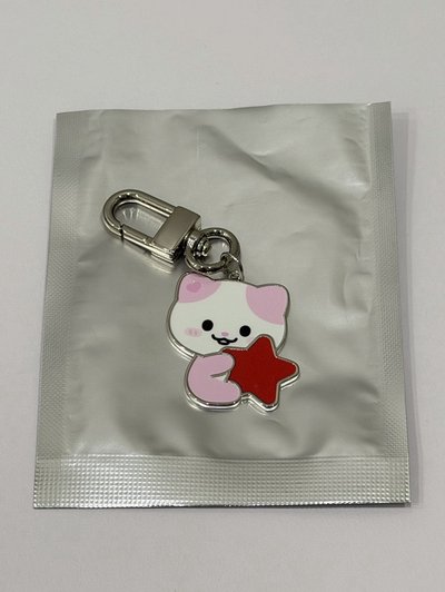 2026FM TWINZY 鑰匙圈吊飾 NAong