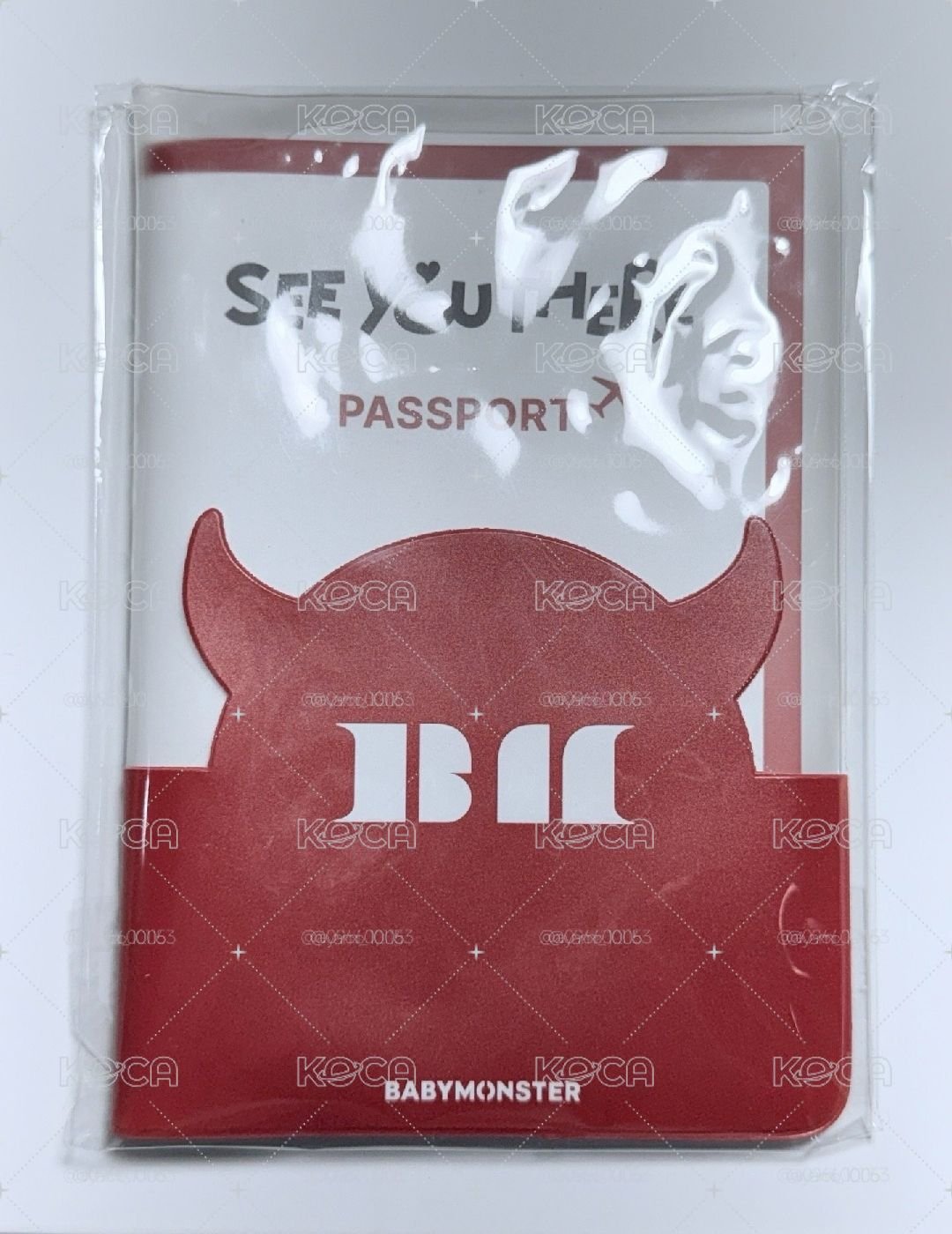 寶怪護照套