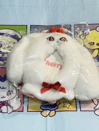 員手燈套（現貨）