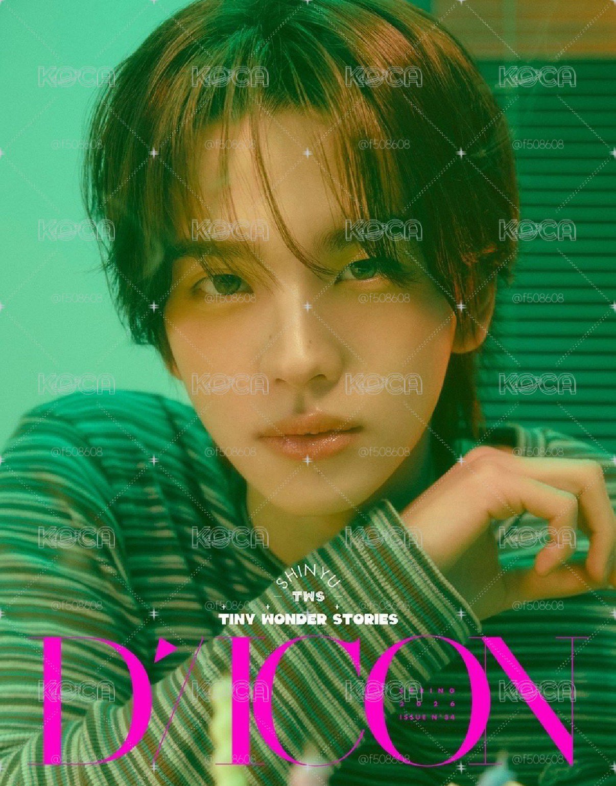申惟 DICON雜誌現貨  兩版 全新未拆