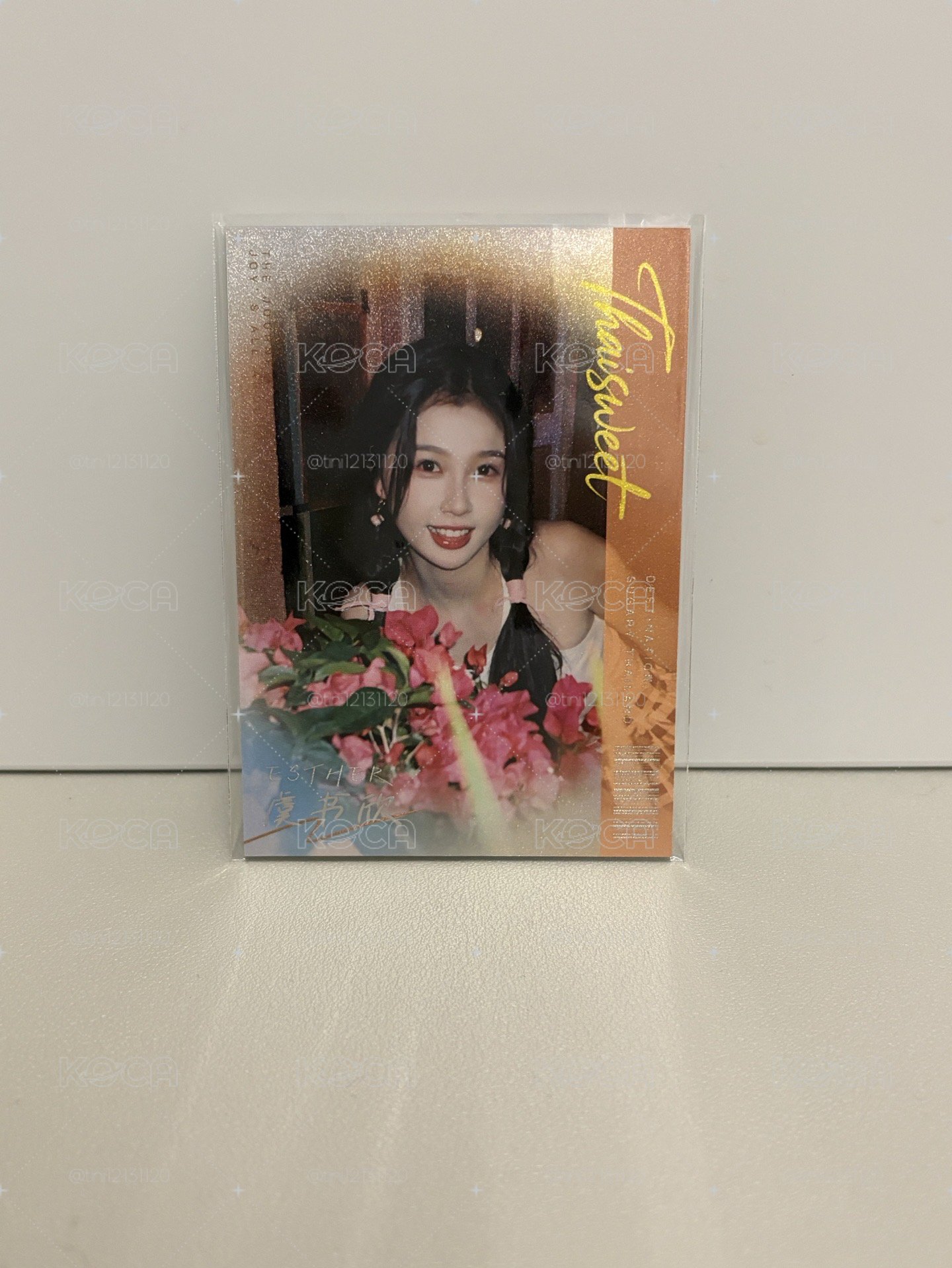 雙軌 戲劇卡 699編 571/699 085/699