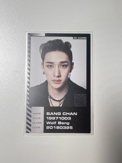 SKZ 燦小盤🐺