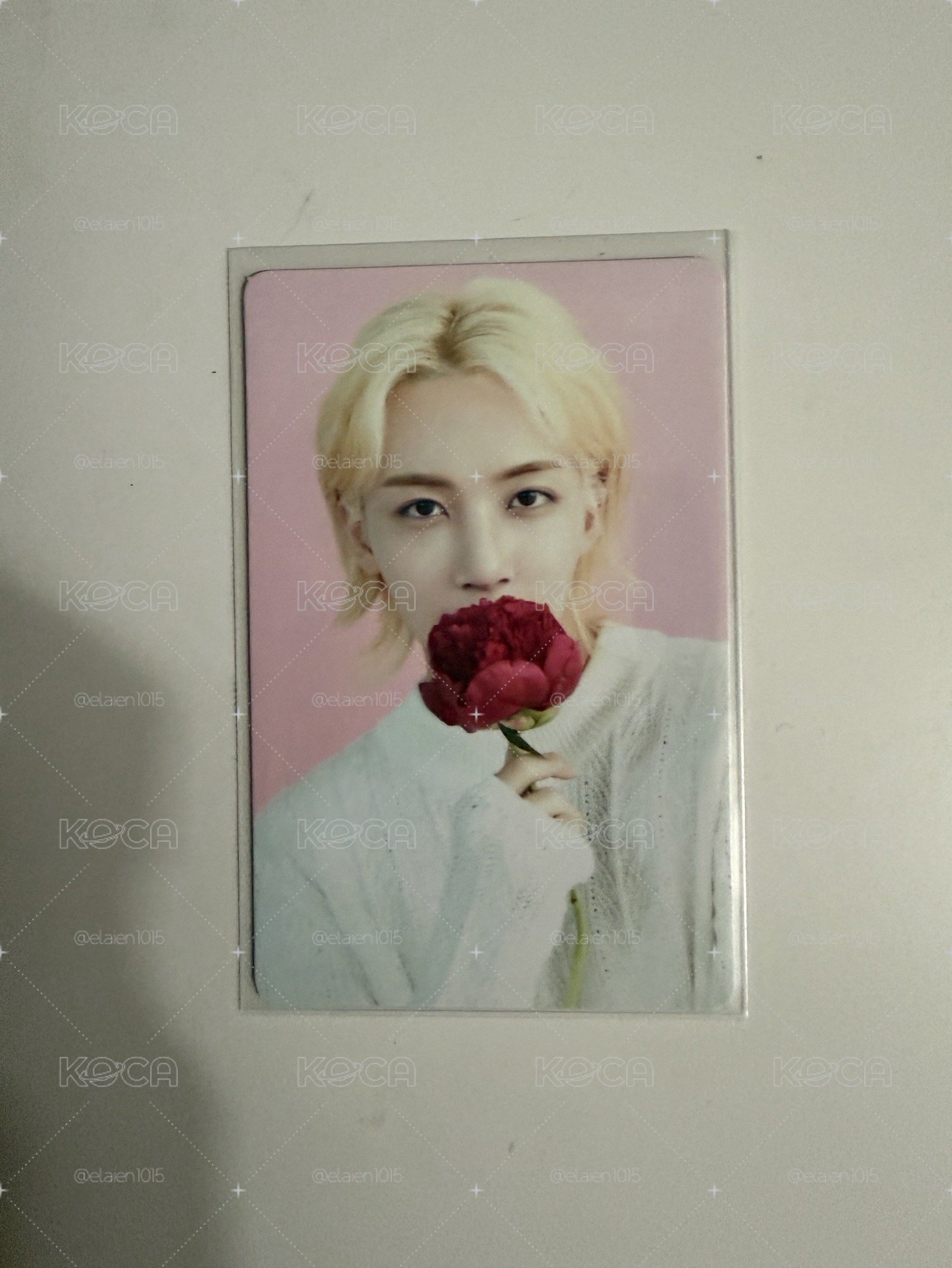 Search image