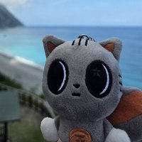 對姜咪的愛太顯而易見