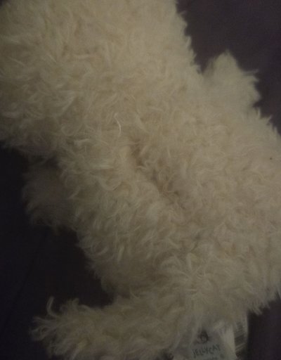 果醬鼠鼠
