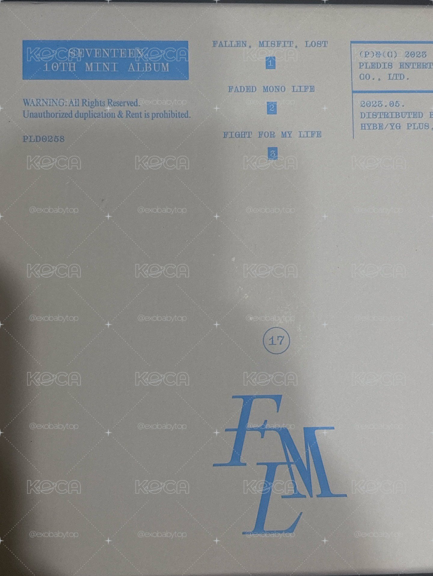 FML豪華版全專 