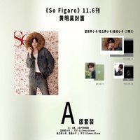 SoFigaro A版