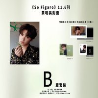 SoFigaro B版