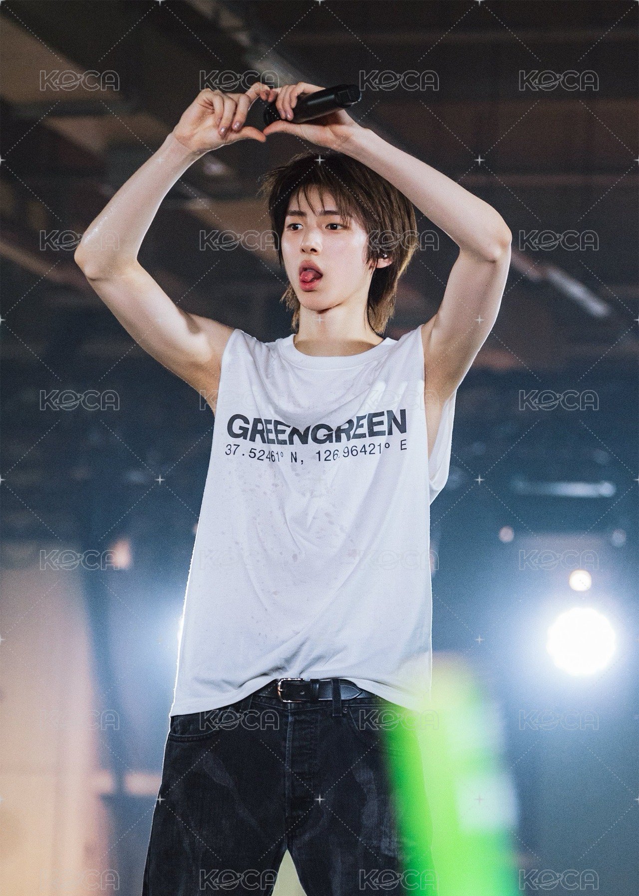 全新 GREENGREEN T恤 Gray（L）