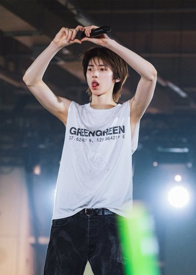 全新 GREENGREEN T恤 Gray（L）