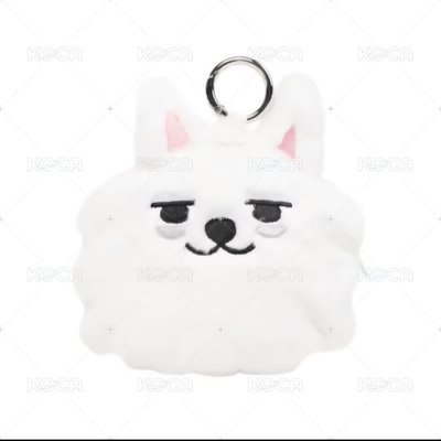 PPULBATU 零錢包 崔勇猛（現貨速寄）