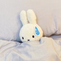 에밀리