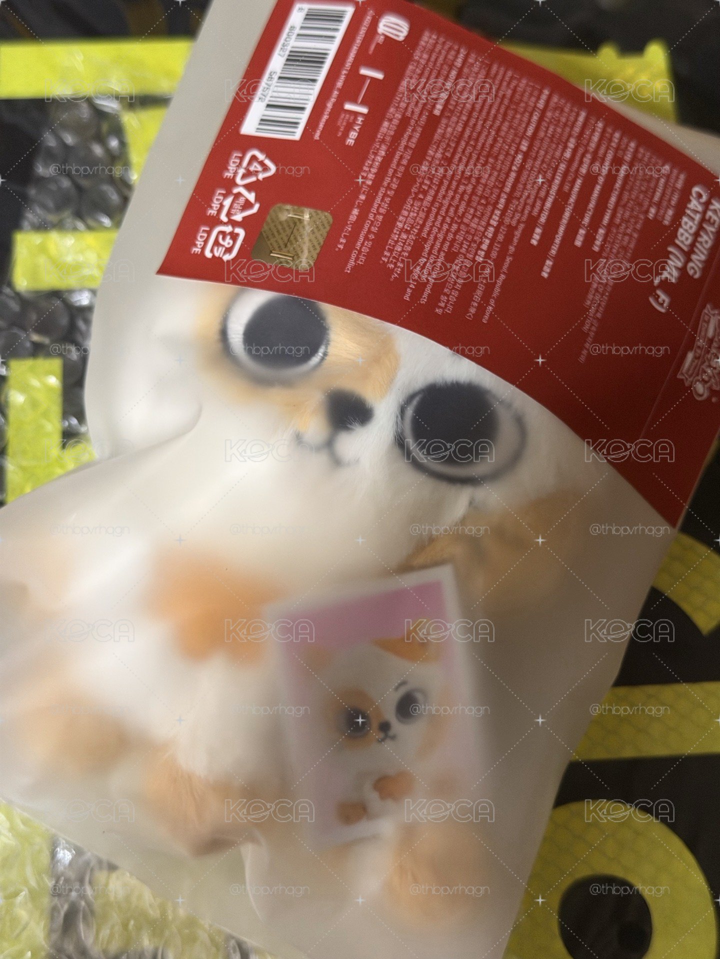 🎀全新貓比(含原袋&證件照)