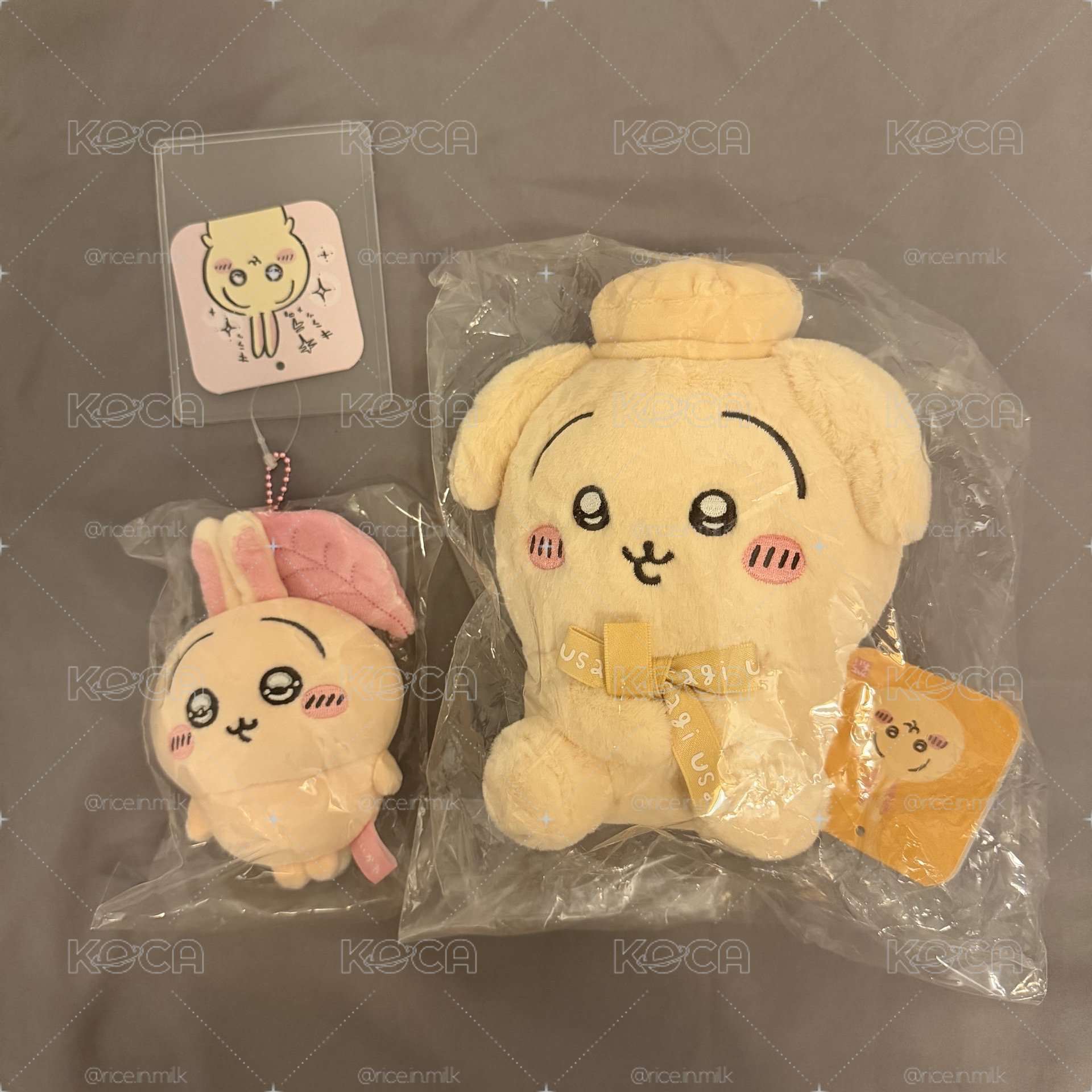 水汪汪兔&貝雷兔