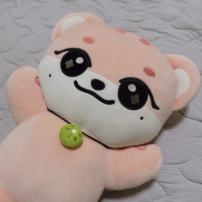 Ive minive 李瑞 抱枕與mega 巨娃
