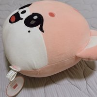 李瑞大抱枕