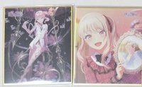 色紙 ｗｌ色紙 色紙 