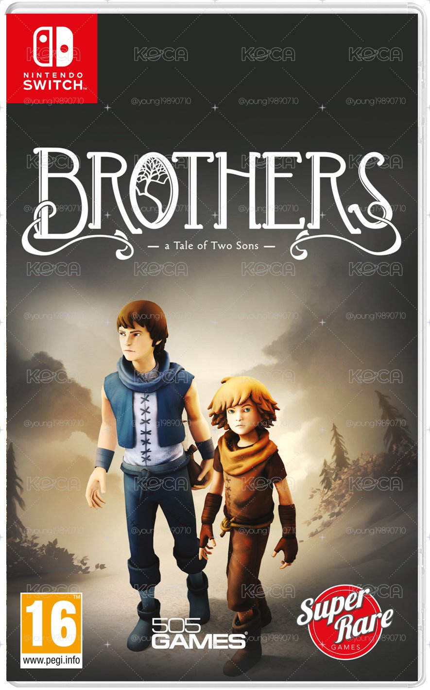 ⚡️兄弟：雙子傳說 brothers: a tale of two sons NS switch 遊戲