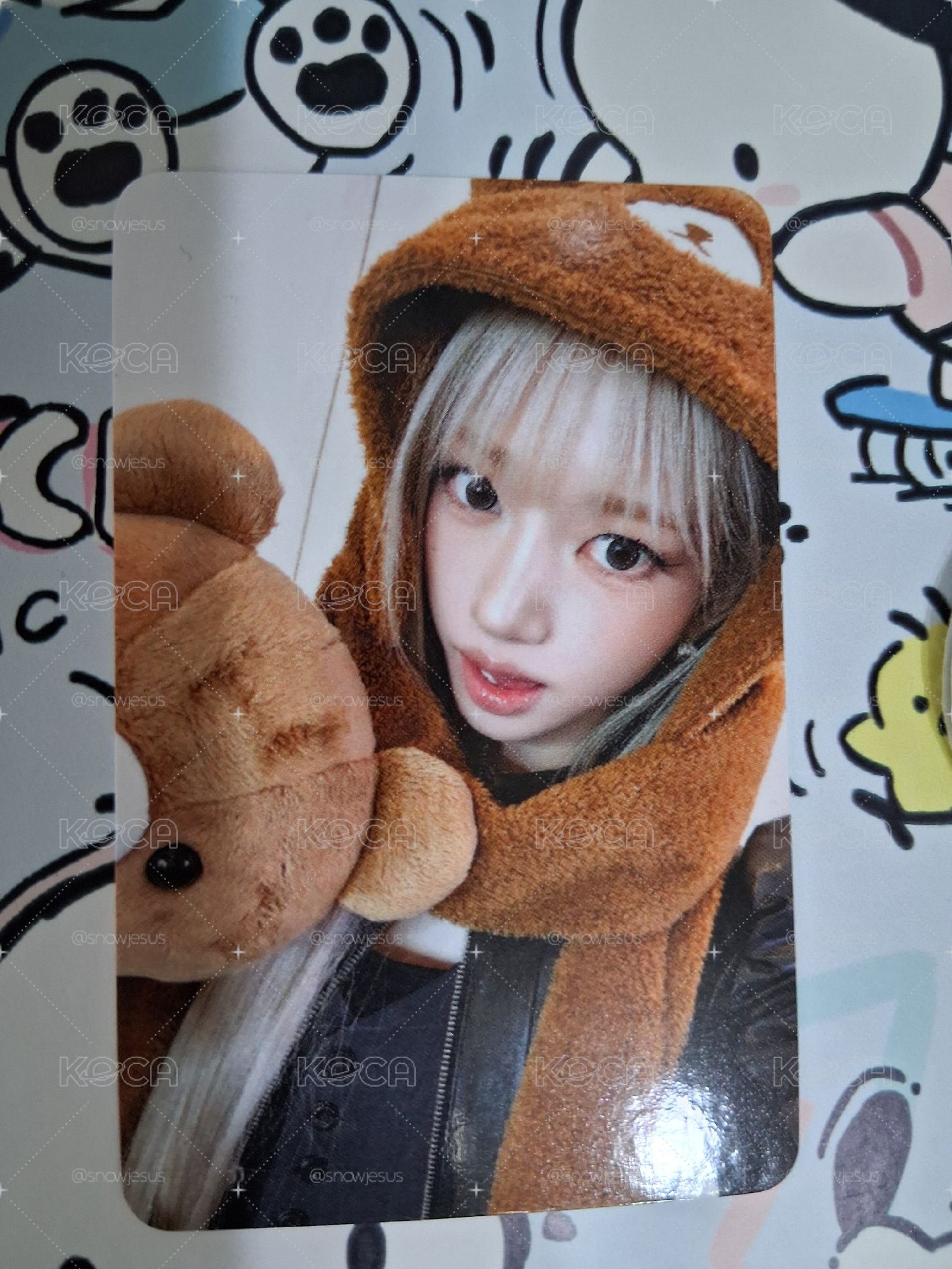 小熊Sooin