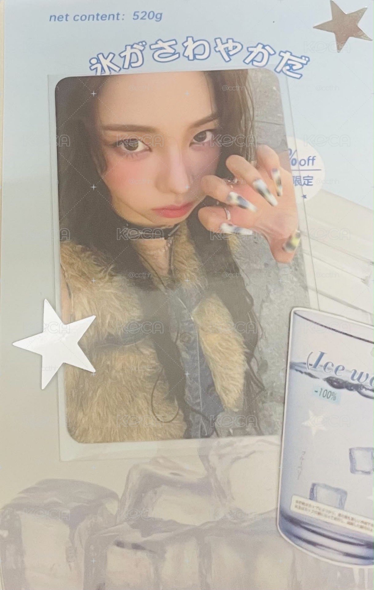 你的小貓柚子