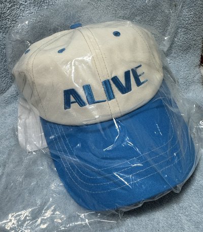 東海Alive演唱會帽子