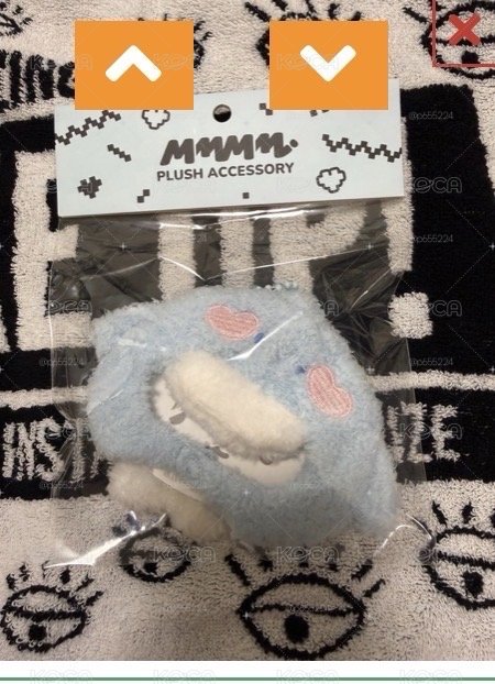MMMM藝俊💙絨毛頭套