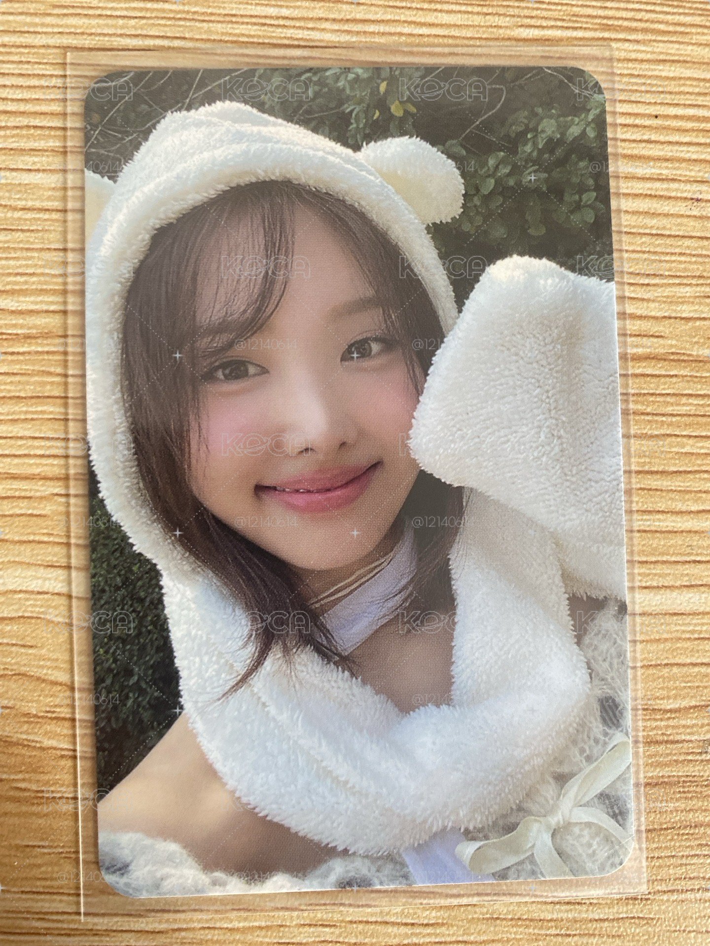 娜璉白熊