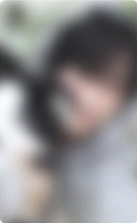迷二 hl 小貓與魚 特典卡 