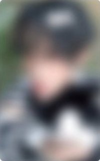 迷二 hl 小貓與魚 特典卡 
