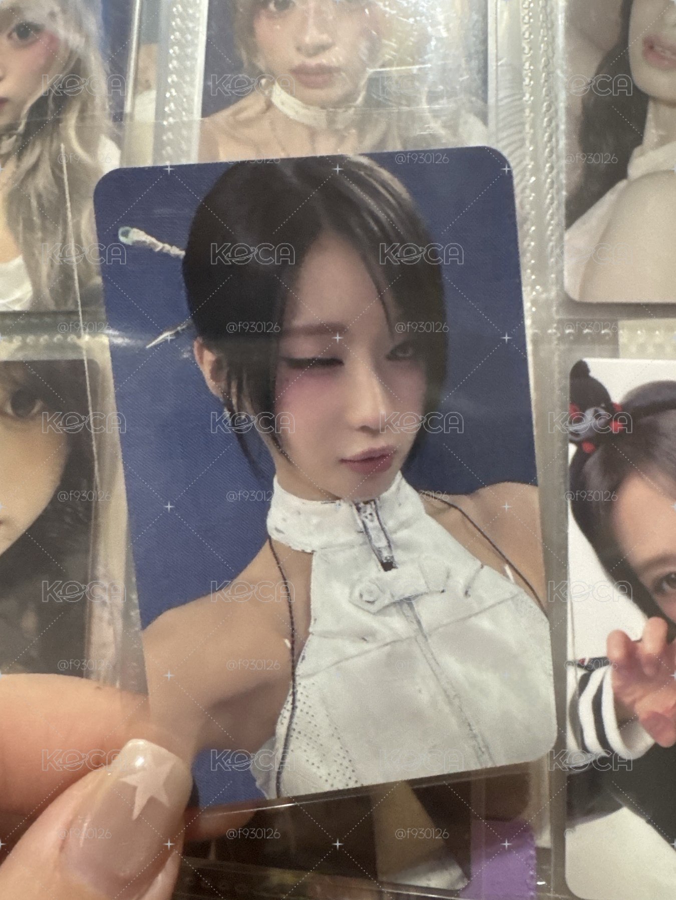 二週年ms wink角🐱