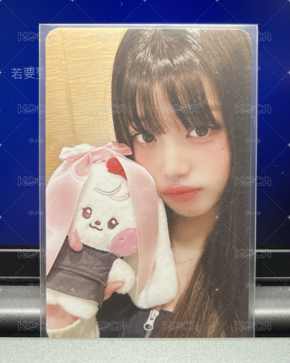 快閃滿額員🐰