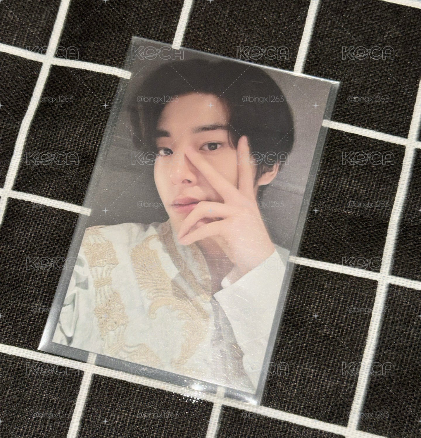 小狗王子登場