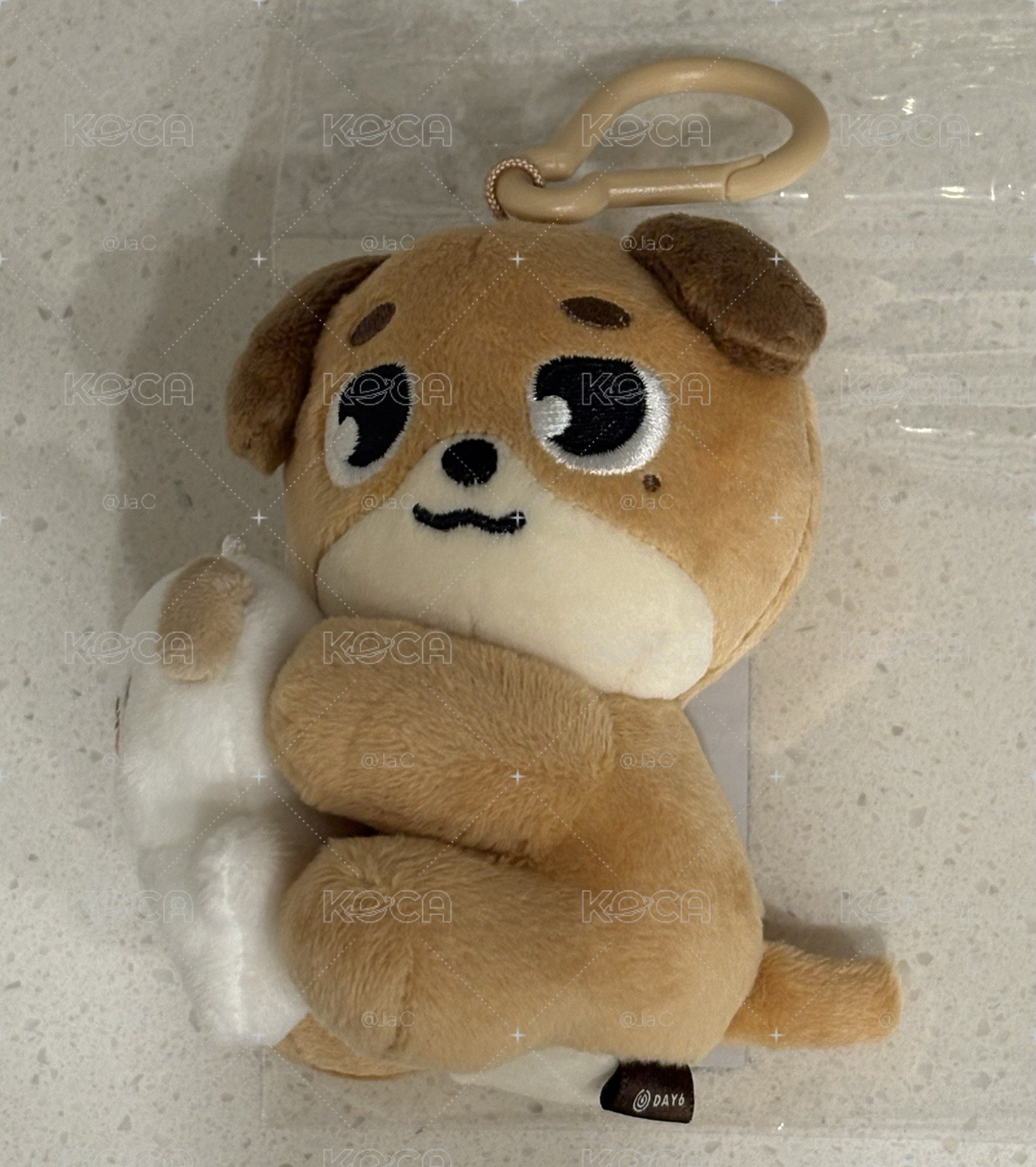 Day6 磁吸抱娃🐶