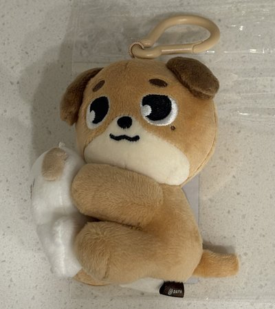 Day6 磁吸抱娃🐶