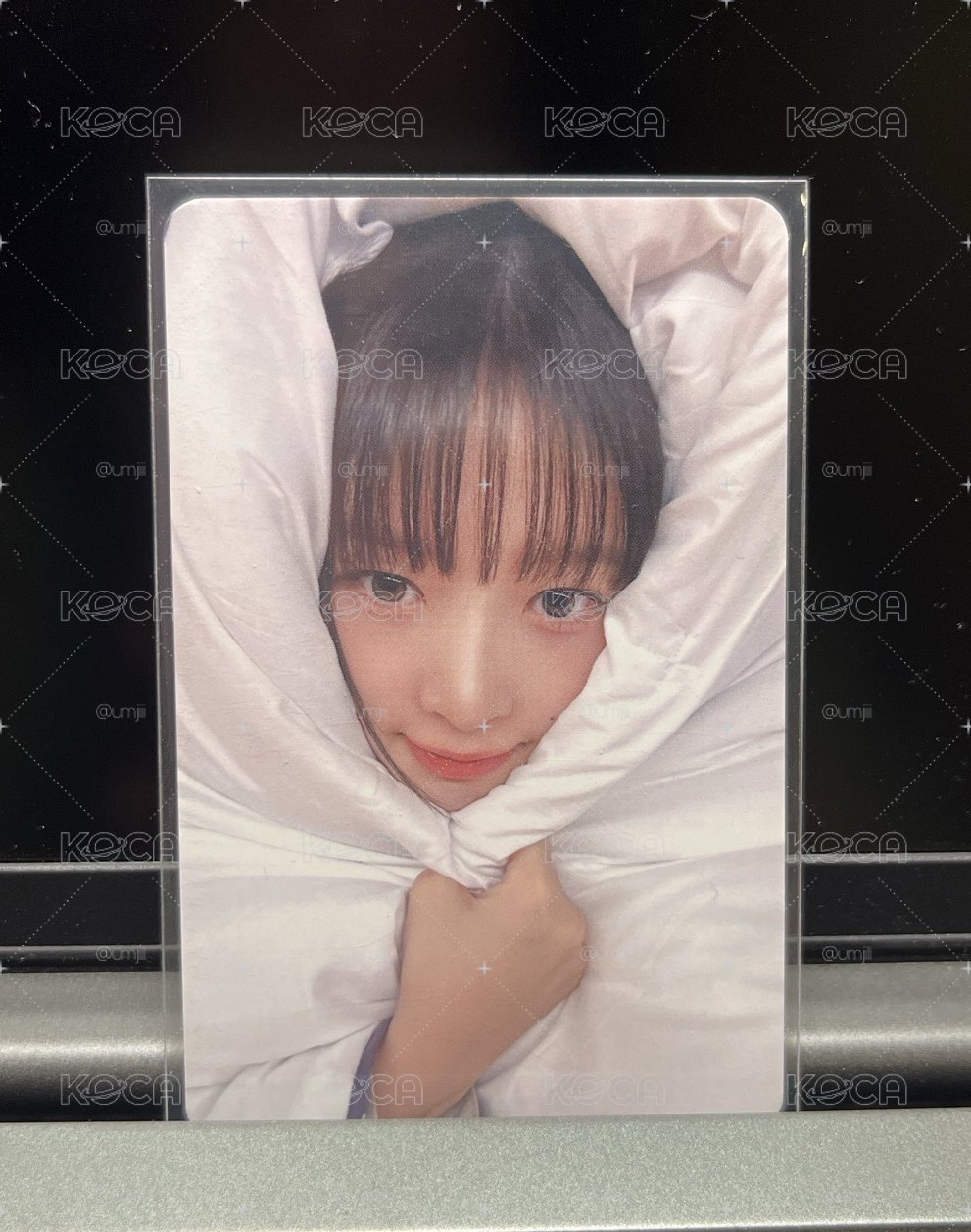你的棉被小精怜✨🧚