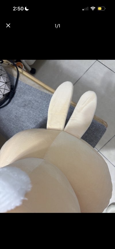 現貨抱枕 烏薩奇 午睡大抱枕靠墊
