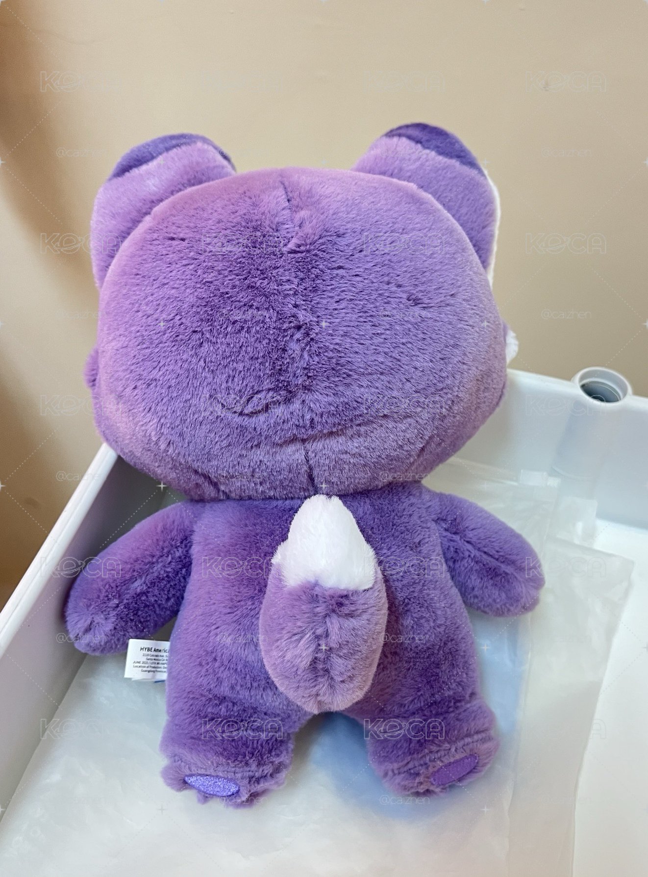Miniteen站娃，圓榮