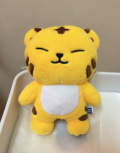Miniteen站娃，圓榮