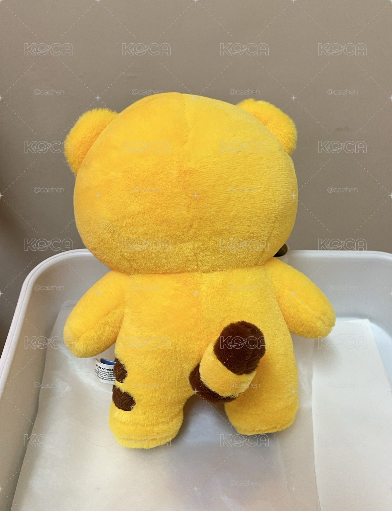 Miniteen站娃，圓榮