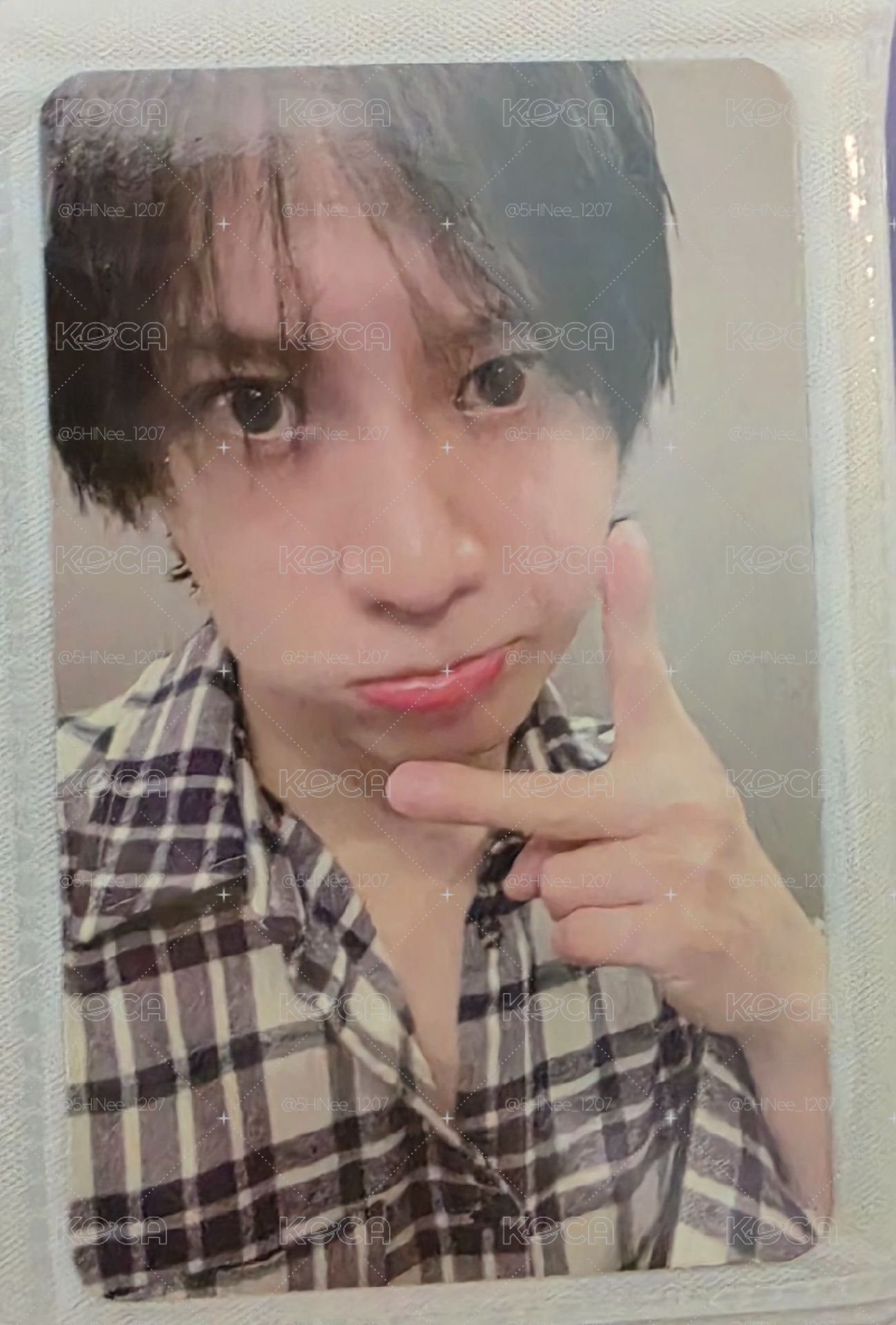 SHINee 泰民 六巡DVD小卡