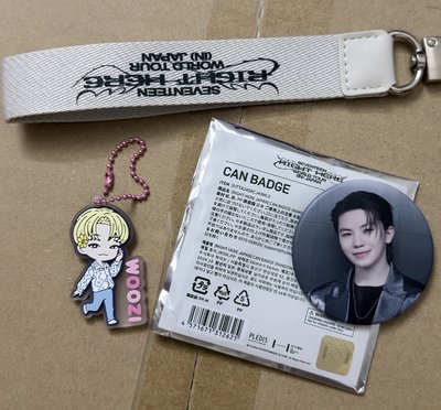 （現貨整圖出）seventeen woozi 李知勳  right here 姓名條吊飾 徽章 petiteen 金髮勳