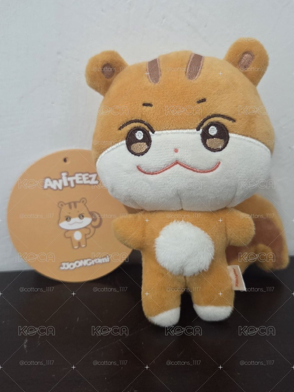 ANITEEZ 原皮 中