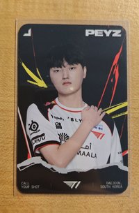 集章P
