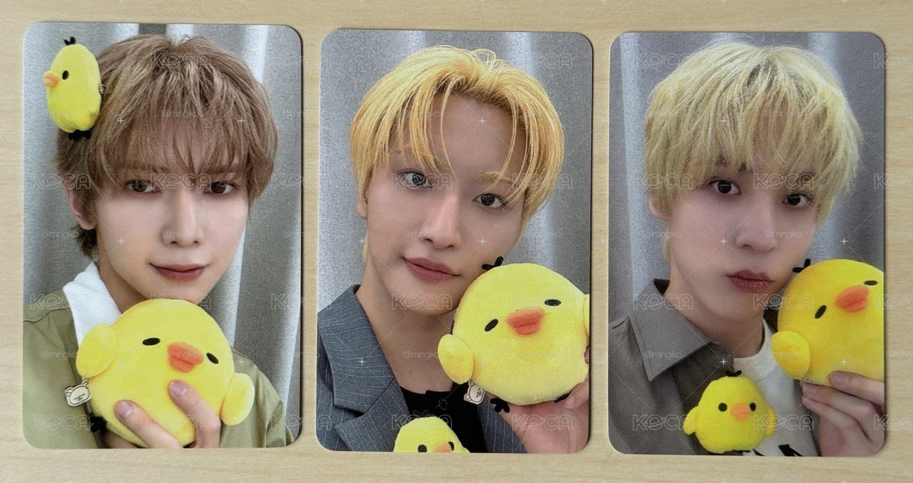 淺髮星潤尚小雞🐤