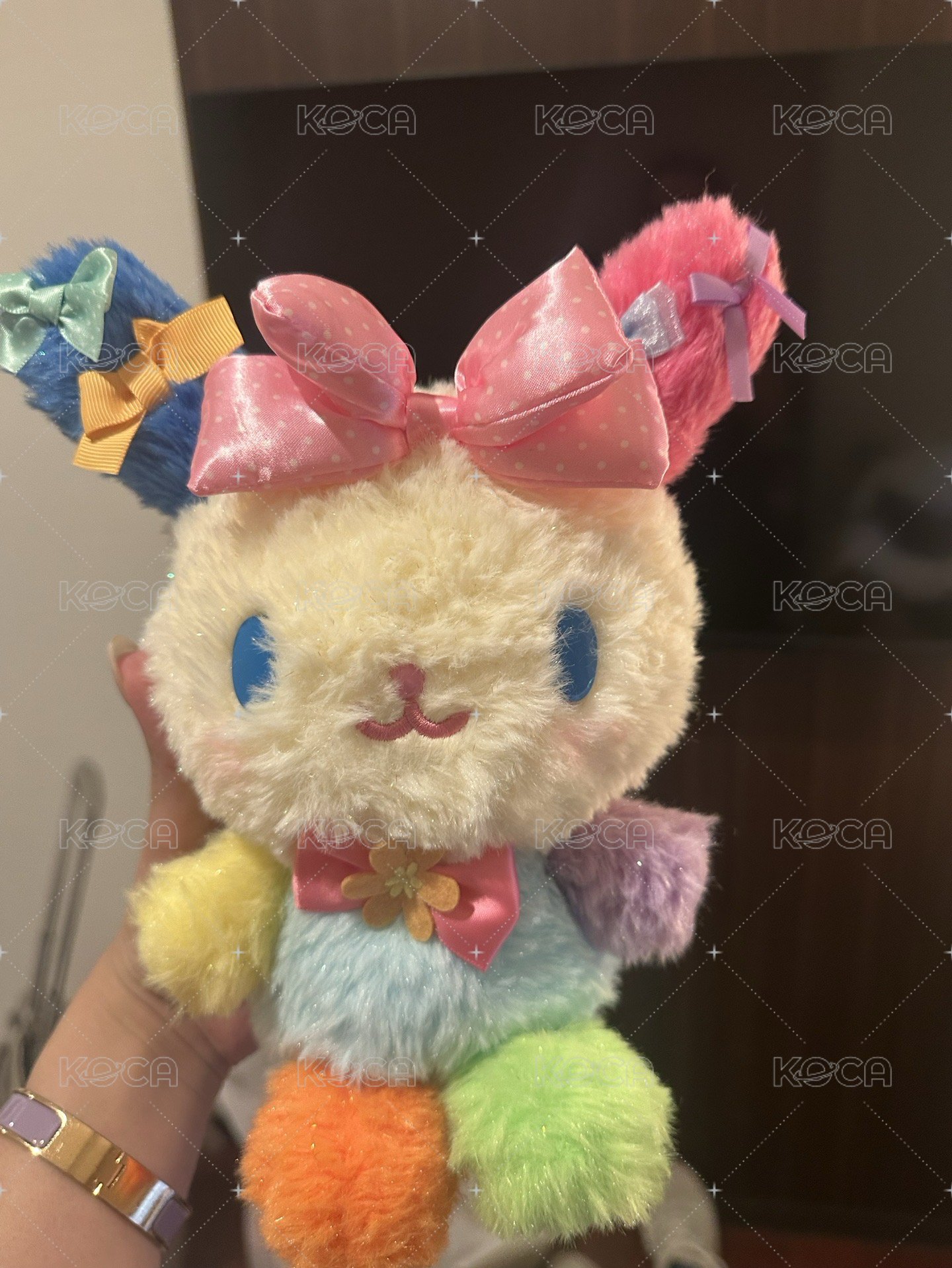 22cm 娃