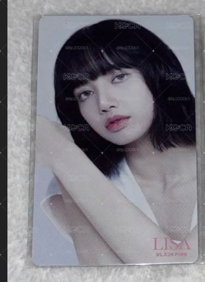 環球莎