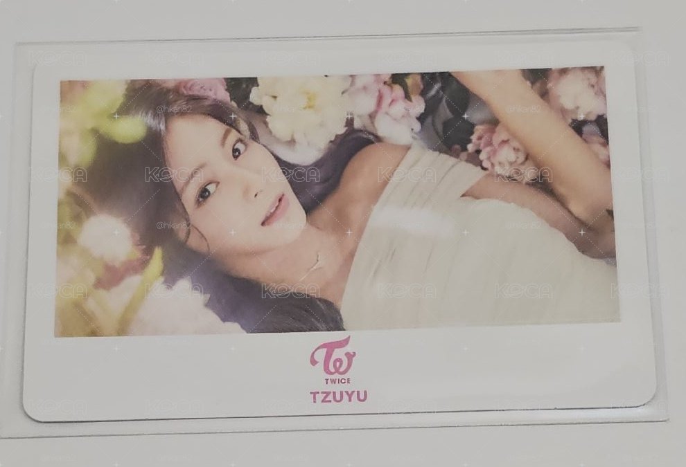 TWICE 2018 TWICELAND ZONE2：Fantasy Park TZUYU 