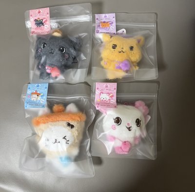 STEADY快閃 娃娃玩偶 今天下單明天出貨